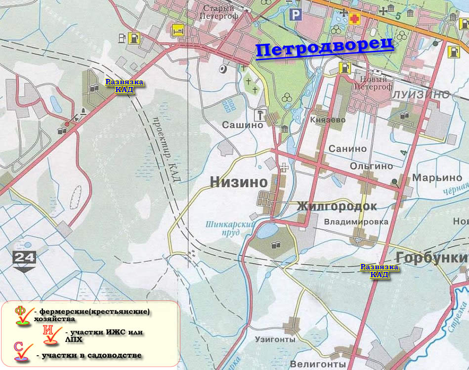Карта окрестностей г. Петродворца (157kb)
