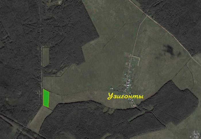 Вид со спутника на участок 239 соток у д. Узигонты  (35,9kb)